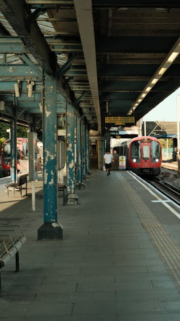 An aerial view of a busy urban street scene near Wood Green station in Haringey, showing a line of vehicles including cars, vans, and a double-decker bus traveling along the road. On the left side of the street, there are various retail shops and pedestrians walking on the sidewalk. The right side features low-rise residential or commercial buildings, with some bicycles parked near the pavement. Several mature green trees line the street, contributing to the urban landscape. The scene is captured during daylight with bright, natural lighting. This images context relates to home relocation and furniture transport, potentially involving the logistics of house removals near Wood Green station, as managed by companies like Man and Van Haringey, who may be involved in packing, loading, and moving services.